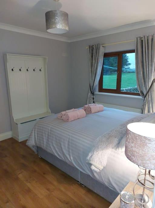 Luxurious Log Cabin With Lay-Z Spa Hot Tub Villa Ballina  Eksteriør billede