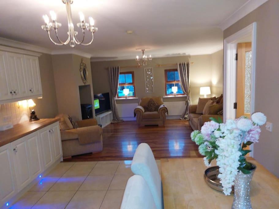 Luxurious Log Cabin With Lay-Z Spa Hot Tub Villa Ballina  Eksteriør billede